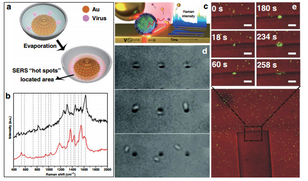 Plasmonic Tweezers: For Nanoscale Optical Trapping And Beyond